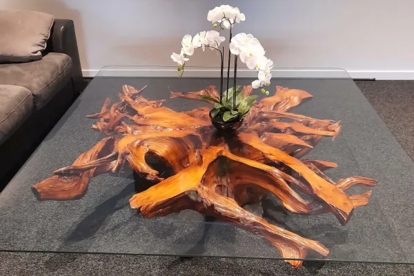 Glass table and root custom furniture