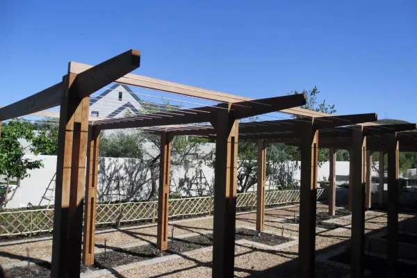 Pergola for wines auckland