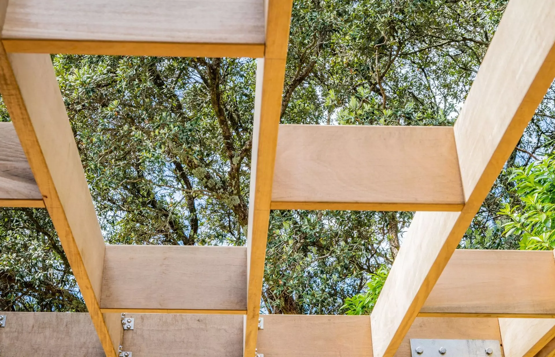 Staggered timber pergola and trees