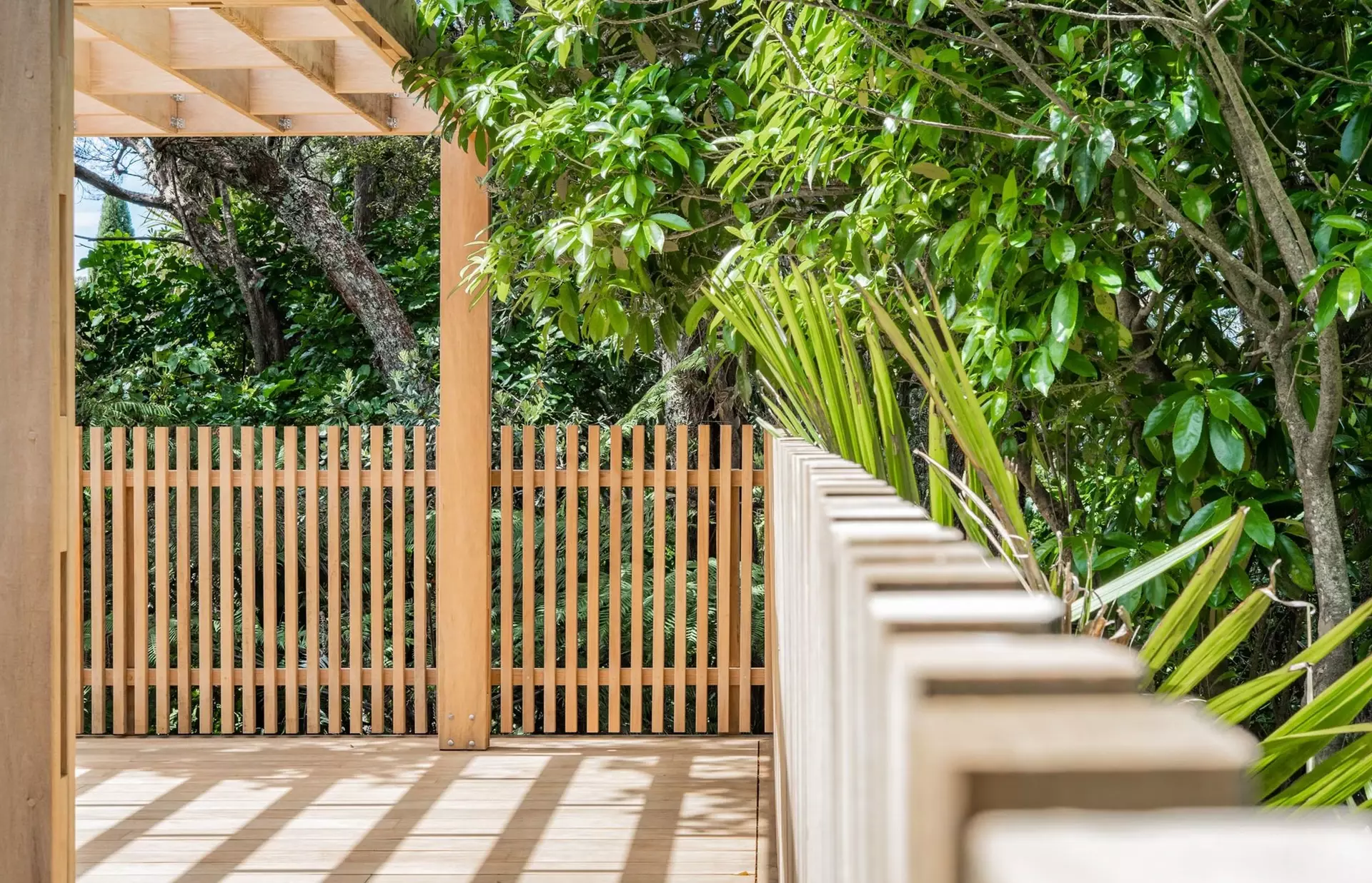 Timber fence separating natral bush
