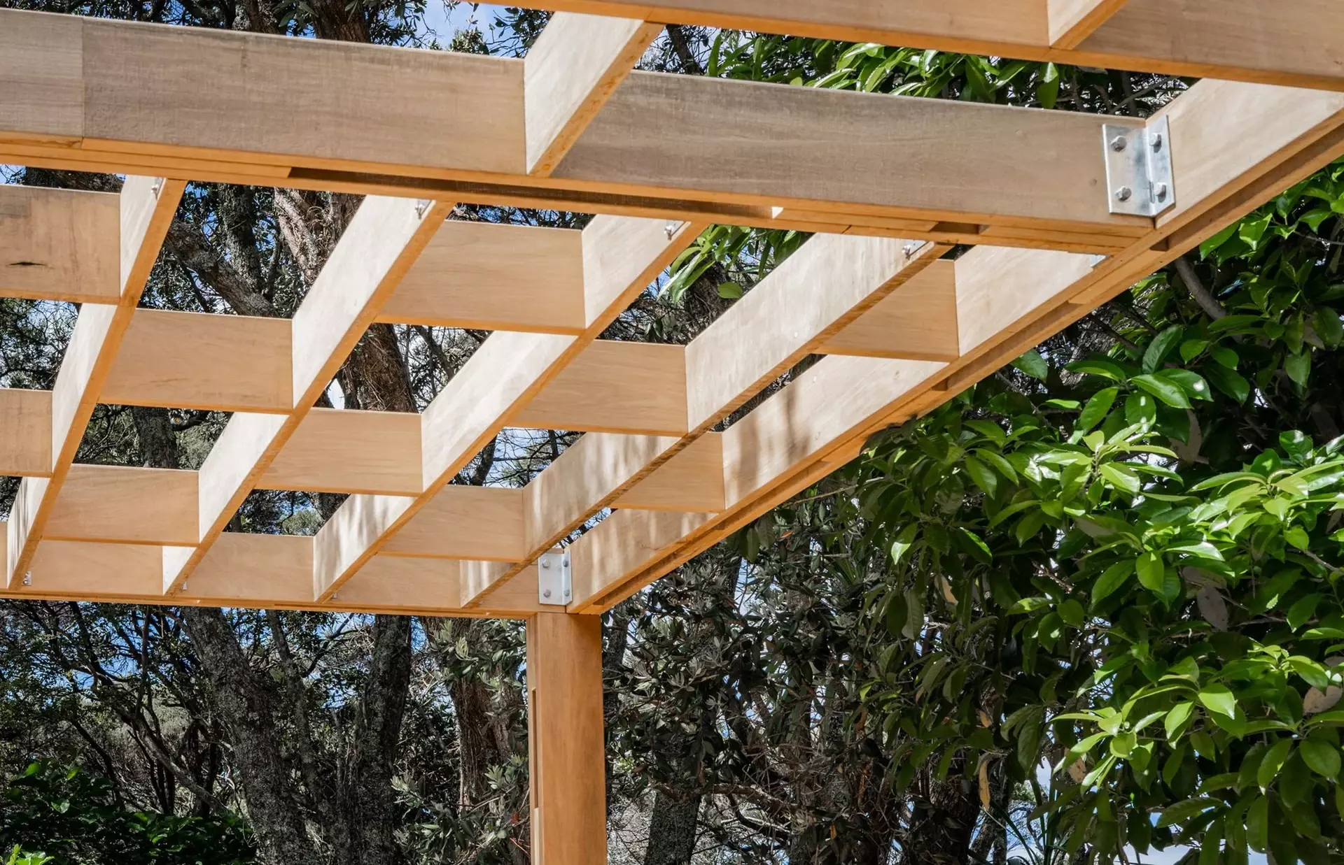 Unique pergola design