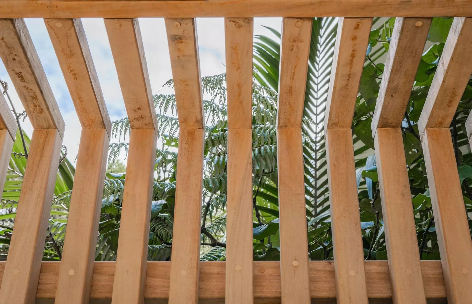 Integration of pergola and privacy fence