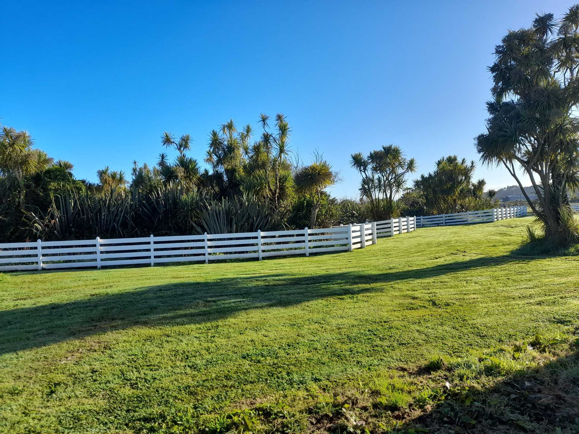 Paddock fence white