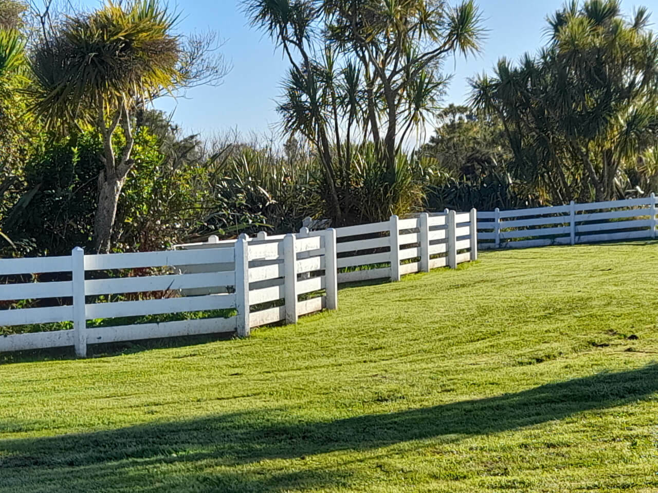 White timber fence