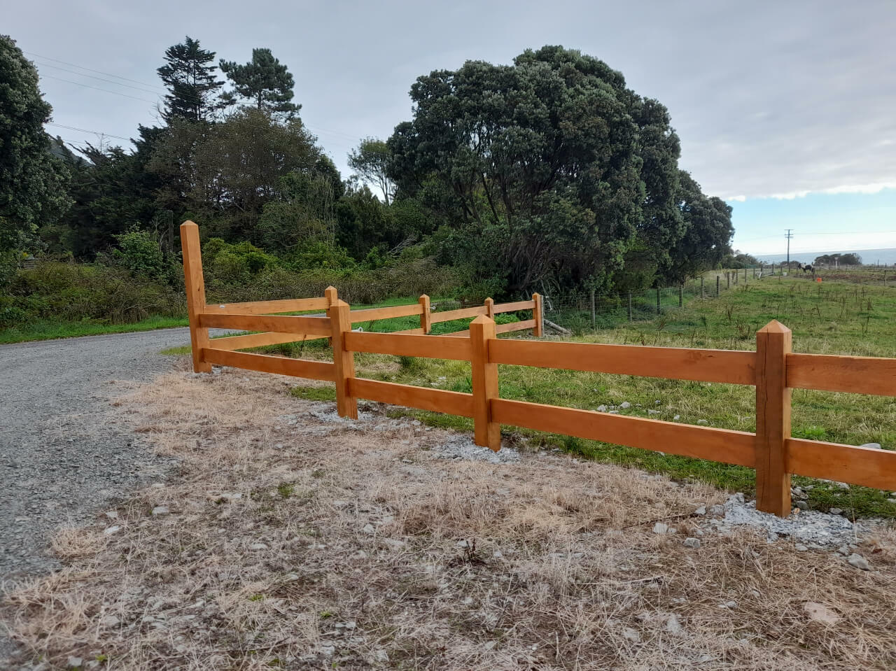 Timber fence paddock